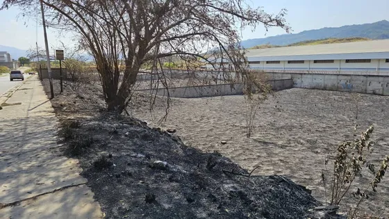 Terreno - Zona Industrial Vega Arriba, Guatire