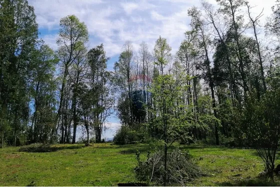 Venta De Parcela En Folilco, Region De  Los Lagos