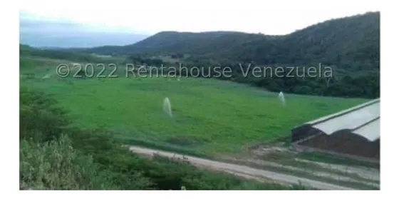 Carlos Colmenarez Vende Hermosa Finca Con Gran Potencial Para Desarrollar Rubros Como: Hortalizas, Frutas,bovino-ovino, Muy Cerca De La Ciudad Con Acceso A Todos Los Servicios. Son Tierras Propias....