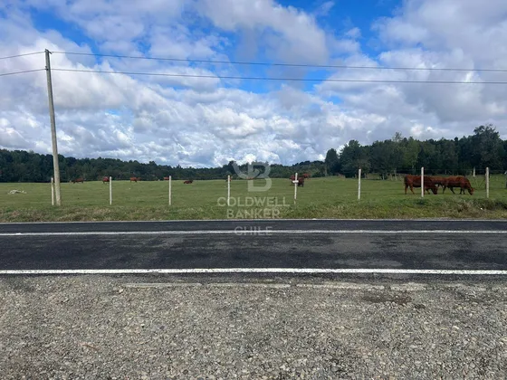 Vista Al Volcán | Entrada De Colonia Tres Puentes