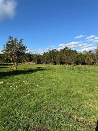 Parcela En Venta En Puyehue