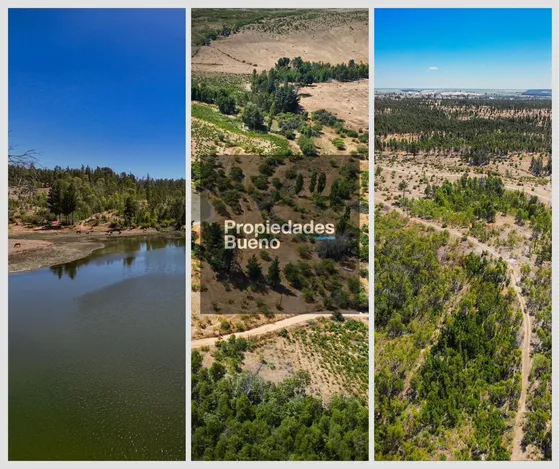 Venta De Terrenos En Cauquenes, Vii Region. (80327)