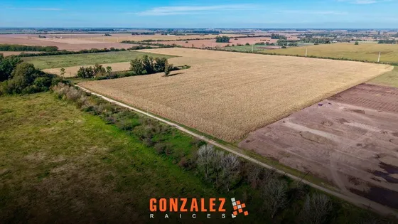 Campo 53 Ha - 20 De Junio
