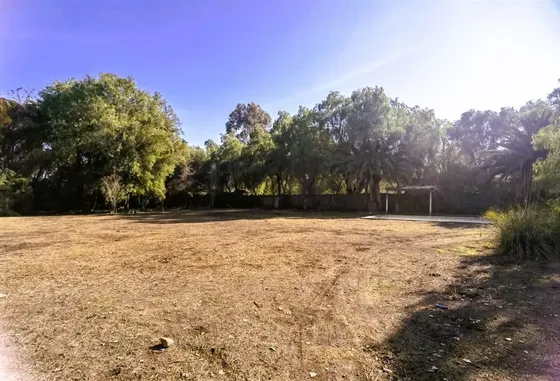 Parcela En Venta Urbana En Fdo Casas Del Alba Colina