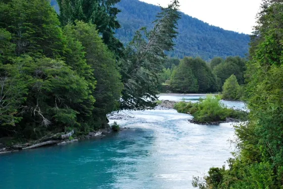 Parcela Orilla Carretera La Junta Puyuhuapi