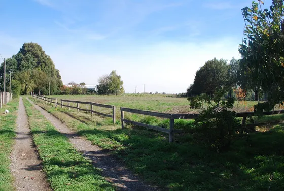 Hermoso Terreno En Sector Llano Verde  (93804)