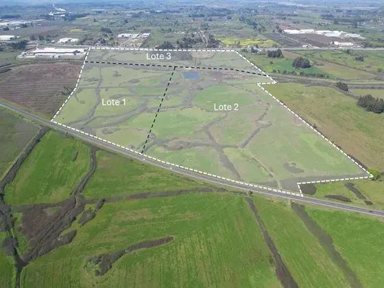 Venta - Teno - Terreno - Industrial - Lote 1