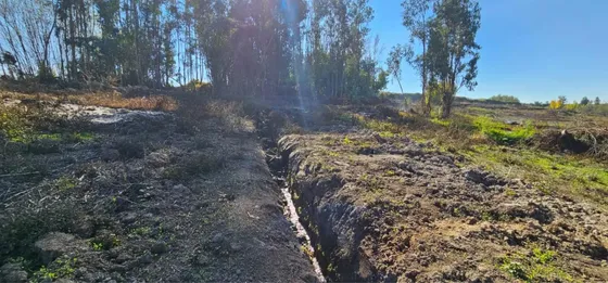 Predio De 4,6 Hectáreas Con Acciones De Agua