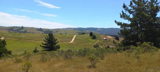 Cabaña En Parcela De 5.000mt2 En Bucalemu  (74584)