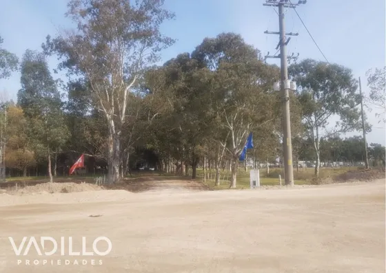 Venta Fracción Campo, Con Frente Sobre Ruta 58, Intersección Con Ruta 16 - Corredor Canning San Vicente - Para Desarrollo Inmobiliario Comercial - 7,5 Has
