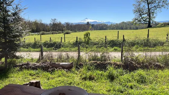 Parcela Camino Panguipulli-pullinque Urbanizado