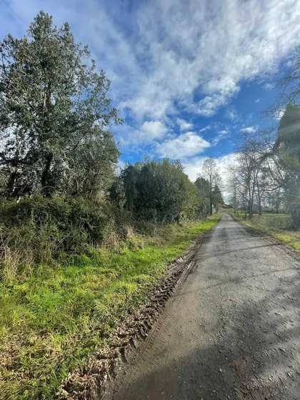Parcela 6300m2 Arboles Nativos  (105986)
