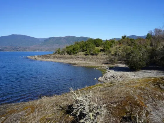 Venta De Campo En Panguipulli Id 50.513-cam