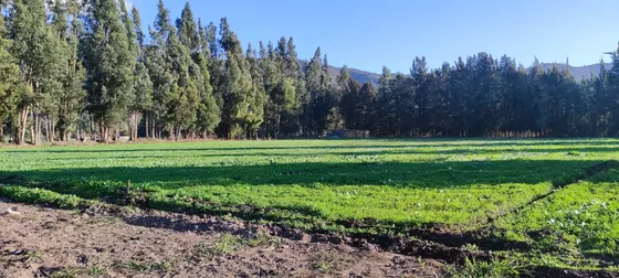 Parcela A Orilla De Camino, Naltagua - Isla De Maipo