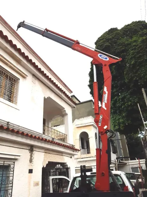 Grua Brazo Telescopica - Servicios Y Alquiler
