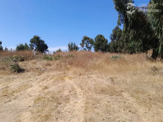 Sitio En Venta En Quintero
