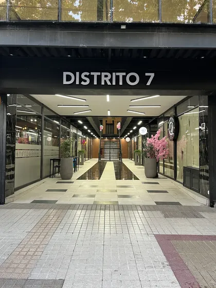 Lujosa Galería Nueva Para Inaugurar