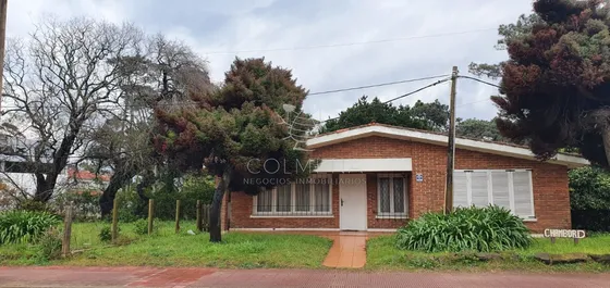 Punta Este, Areaccomercial (ideal Para Gastronomia) Pda. 5 