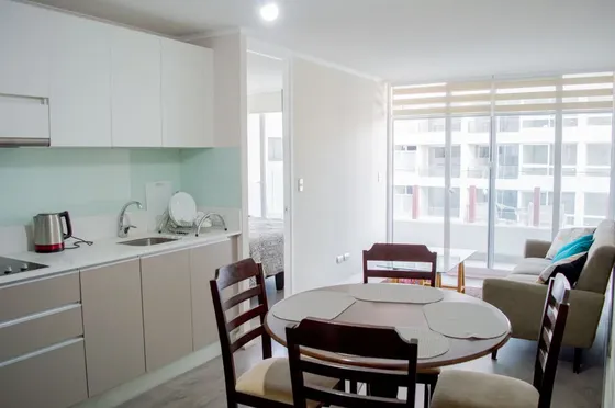 Arriendo Amplio Depto Amoblado 1 Hab Marchant Pereira (4815)