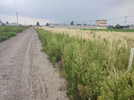 Terreno En Venta En San Diego De Los Padres Cuexcontitlan