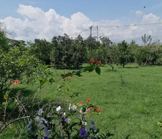 Vendo Lote En Kachipay