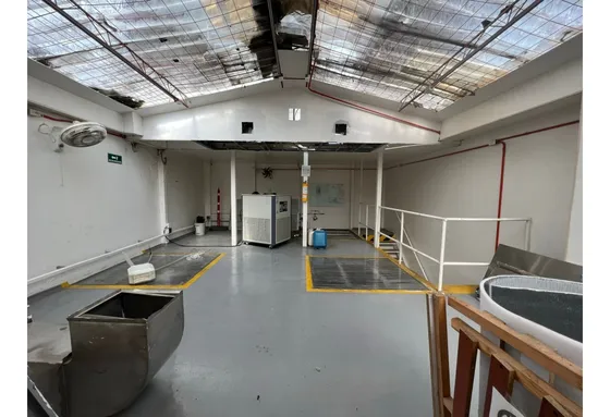 Venta  Casa Comercial  Via Principal Alameda Cali