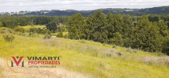 Venta De Terreno De 15 Ha. En Caulín Alto, Comuna De Ancud
