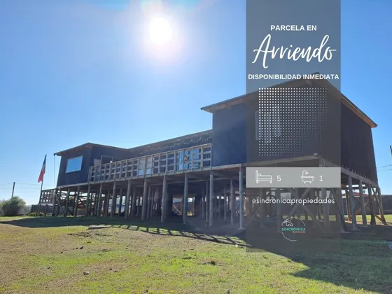 Sincrónica Propiedades Arrienda Gran Parcela  En Algarrobo
