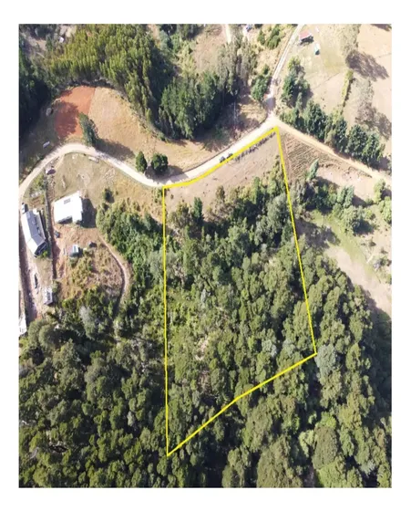 En Venta Gran Parcela Salida Sur De Valdivia