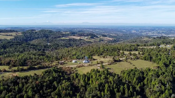 Campo En Venta De 40,6 Hectáreas, Fresia, Estación Río Frío