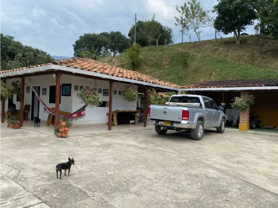 Finca Agroindustrial En Venta En Ebejico