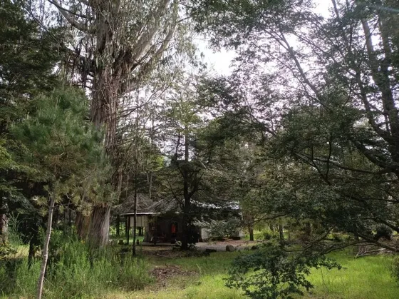 Venta 3 Casas En Parcela 10.000 M2, A 15 Km Pucon, Orilla...