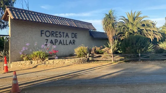 Vende Parcela En Foresta De Zapallar.