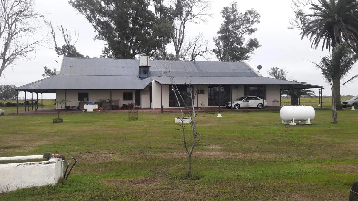 Campo - Estación Bell Ville