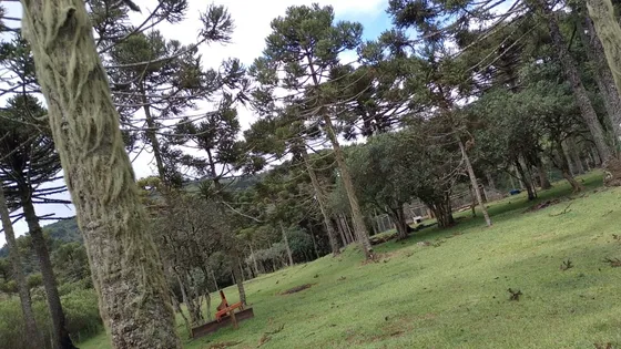 Sítio Em Urubici 