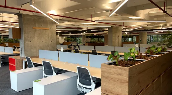 Renta De Oficinas Edificio Cortezza Las Palmas 1.118 M² Y 319 M²