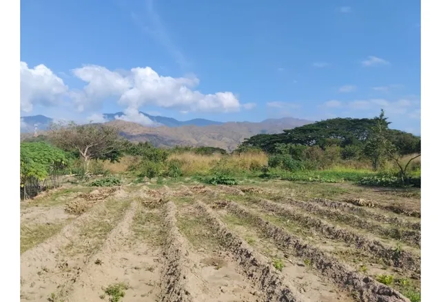 Terreno De 40.000 M2 En Yagua Sector El Limón Vía