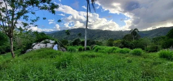 Te Vendo Excelente Finca En Puerto Plata