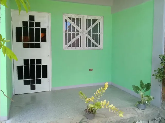 Casa En Venta En La Urb. Araguaney De Palo Negro.