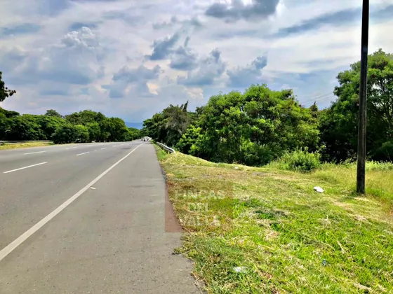 Palmira, 16.000 M2, Lote En Venta