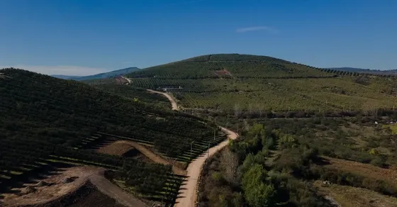 Terreno En Venta, Fundo Miradores Del Valle, Talca