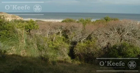 Tierra Apta Desarrollo De 117 Has En Canelones, Uruguay