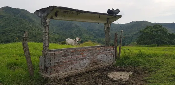 Buga, 900 Plazas, Finca En Venta