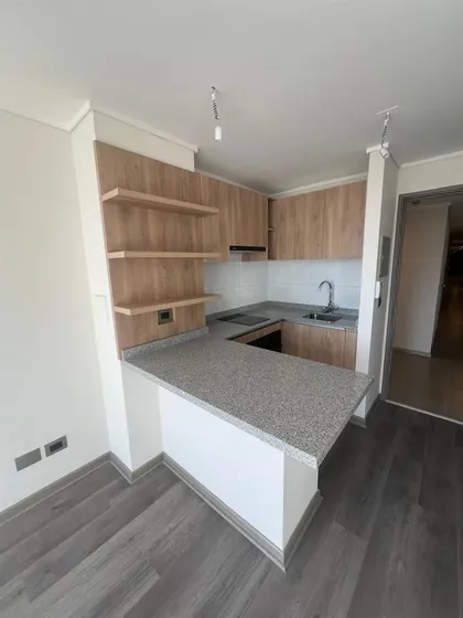 Departamento 1d-1b Arriendo En Av. Santa Rosa N891, Santiago
