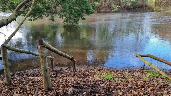 Vendo Parcelas Con Acceso A Río Claro, Yumbel