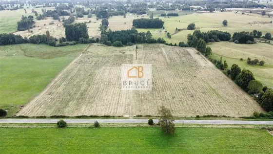 Agrícola De 10 Ha. En Venta En San Pablo