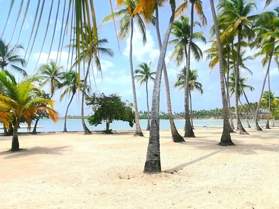 Villa En Venta En El Exclusivo Complejo De Playa Nueva Romana (1era Línea De Playa)