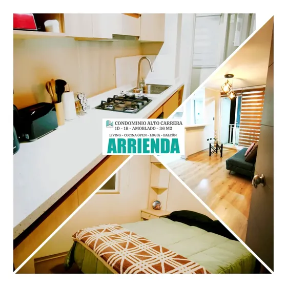 Arriendo Departamento Amoblado 1 D-1 B C. Alto Carrera