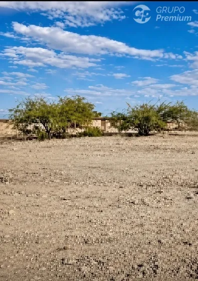 !vendo Terreno En La Huayca 5.000 Mt2 Excelente Oportunidad!