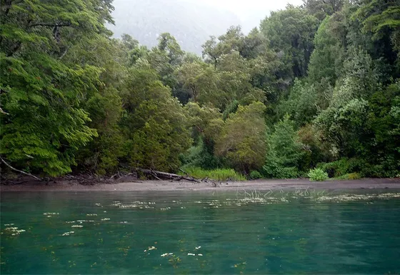 Espectacular Terreno Con Orilla En Lago Todos Los Santos